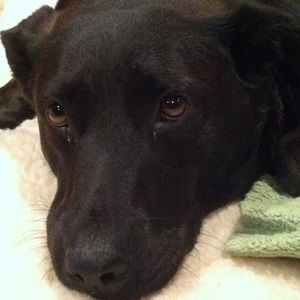 Meet your Posher, Mikayla